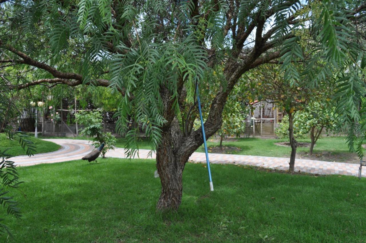 Lujosa Quinta Vacacional Villa Ibarra