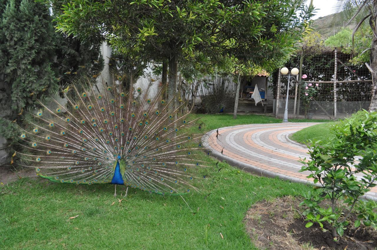 Villa Lujosa Quinta Vacacional *