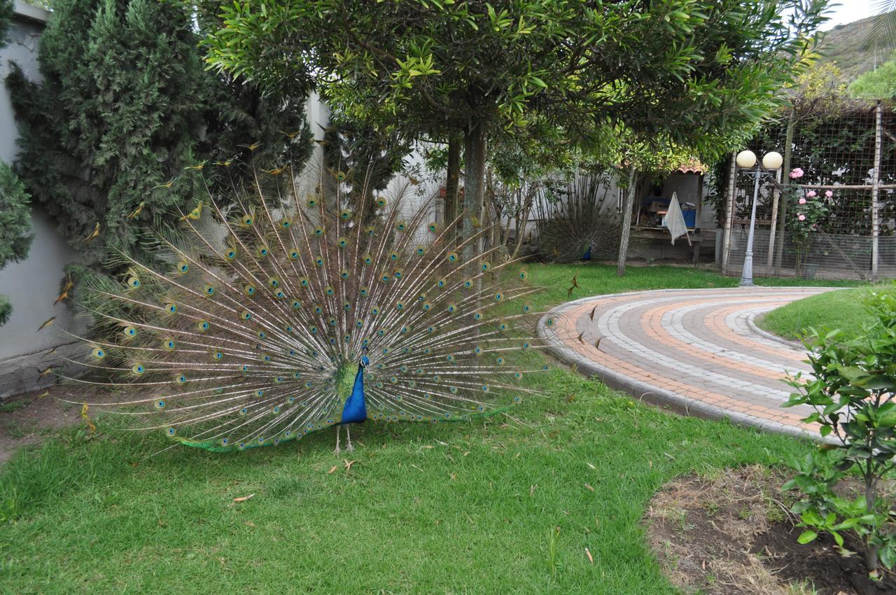 Lujosa Quinta Vacacional Ibarra