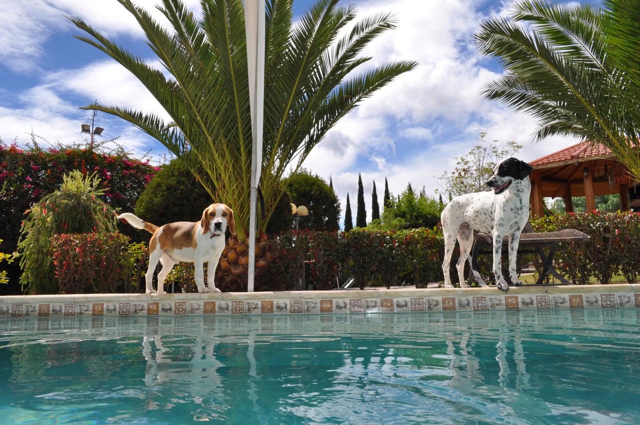 Lujosa Quinta Vacacional Villa Ibarra