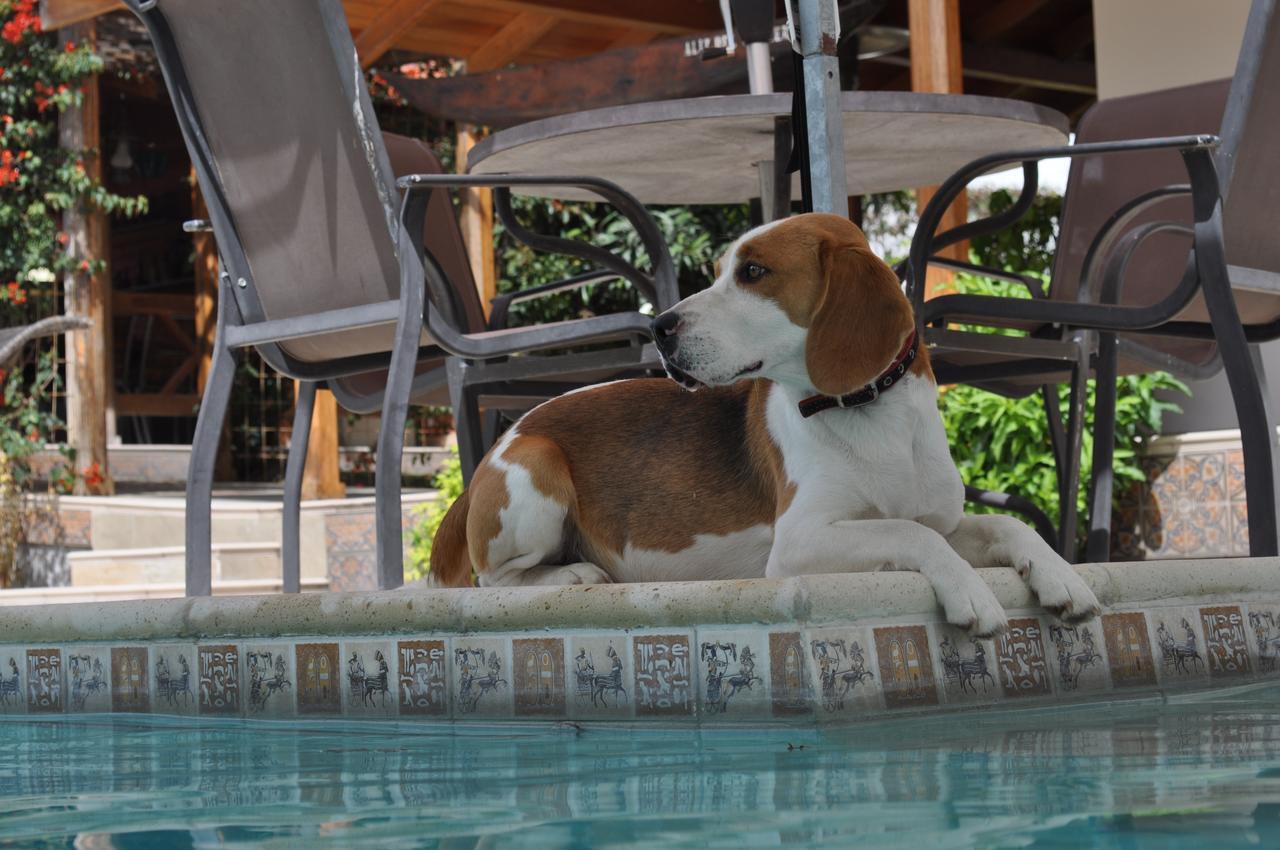 Lujosa Quinta Vacacional Villa Ibarra